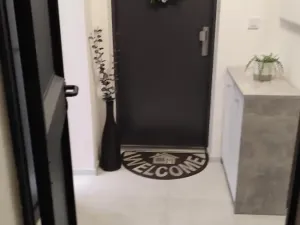 Prodej bytu 2+kk, Ostrava - Michálkovice, Kasalického, 132 m2