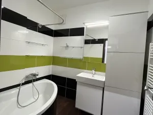 Pronájem bytu 3+kk, Olomouc - Nová Ulice, Wellnerova, 75 m2