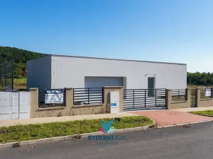 Prodej rodinného domu, Dubí, V Aleji, 206 m2