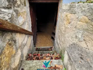 Prodej zahrady, Babisnau, Německo, 400 m2