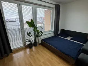 Pronájem bytu 1+kk, Brno, Kosmova, 40 m2