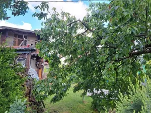 Dražba skladu, Hroznětín, ČSA, 29 m2