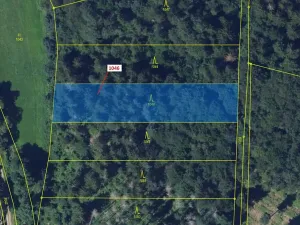 Dražba lesa, Vír, 2432 m2