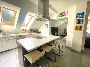 Prodej rodinného domu, Srubec, Pod Chlumkem, 217 m2