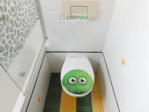 Pronájem bytu 2+1, Plzeň - Jižní Předměstí, Arbesova, 49 m2