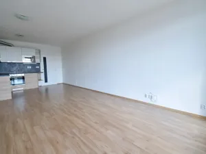Pronájem bytu 1+kk, Brno - Slatina, Řípská, 40 m2