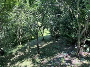 Prodej chaty, Praha - Vysočany, Na Balkáně, 40 m2