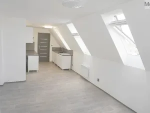 Pronájem bytu 3+kk, Litvínov - Horní Litvínov, Ladova, 75 m2