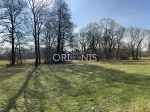 Prodej komerčního pozemku, Dolní Cerekev, 16901 m2