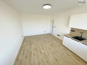 Pronájem bytu 3+kk, Most, 1. máje, 53 m2