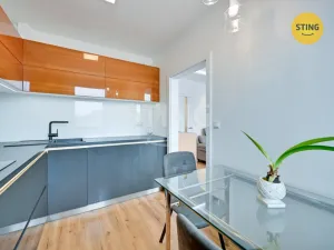 Prodej bytu 2+1, Hodonín, Lužní, 41 m2