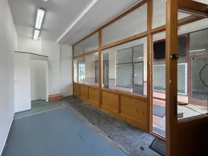 Pronájem obchodního prostoru, Plzeň - Skvrňany, Karla Steinera, 14 m2