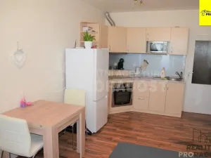 Pronájem bytu 1+kk, Jihlava, Zimní, 30 m2