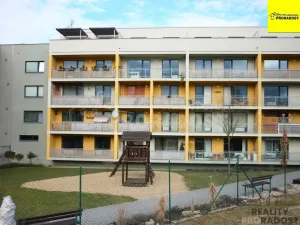 Pronájem bytu 1+kk, Jihlava, Zimní, 30 m2