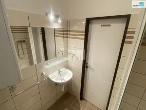 Pronájem bytu 1+1, Dobřany, Palackého, 35 m2