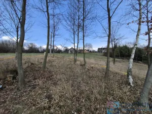 Prodej pozemku, Libuň - Jivany, 11210 m2