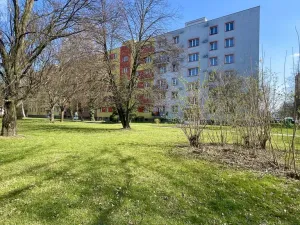 Prodej bytu 2+kk, Ostrava, Polská, 44 m2