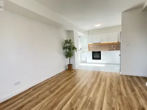 Prodej bytu 2+kk, Ostrava, Polská, 43 m2