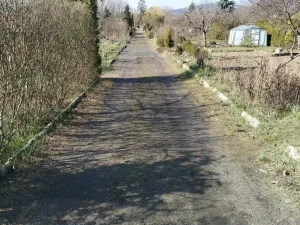 Prodej zahrady, Chomutov, Na Průhoně, 363 m2