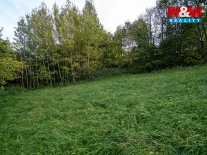 Prodej lesa, Kosov, 467 m2