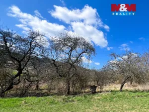 Prodej pole, Sušice - Sušice II, 5140 m2