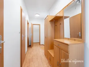 Pronájem bytu 2+kk, Klecany, V Honech, 47 m2