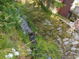 Prodej chalupy, Petrovice, 190 m2