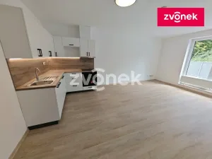 Pronájem bytu 1+kk, Otrokovice, Moravní, 40 m2