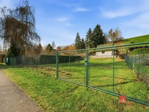 Prodej chaty, Doudleby nad Orlicí, V Grundě, 31 m2