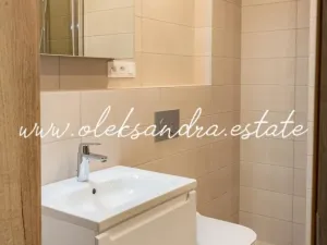Pronájem bytu 2+kk, Praha - Vysočany, Střídavá, 52 m2