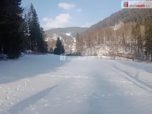 Prodej pozemku pro bydlení, Merklín - Pstruží, 4233 m2