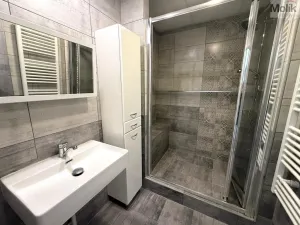 Pronájem bytu 3+1, Chomutov, Jirkovská, 62 m2