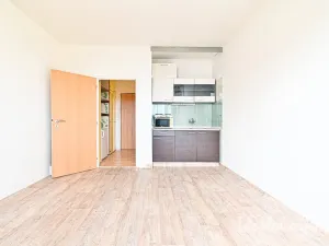 Pronájem bytu 1+kk, Brno, Halasovo náměstí, 22 m2