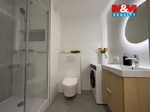 Pronájem bytu 2+1, Ostrava - Hrabůvka, Plavecká, 56 m2