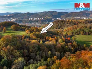 Prodej louky, Ústí nad Labem - Svádov, 14398 m2