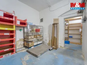 Pronájem obchodního prostoru, Plzeň - Vnitřní Město, Bedřicha Smetany, 304 m2