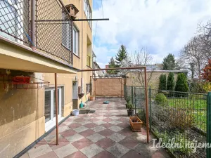 Pronájem bytu 2+kk, Brno, Berkova, 41 m2