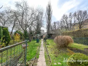 Pronájem bytu 2+kk, Brno - Královo Pole, Berkova, 41 m2