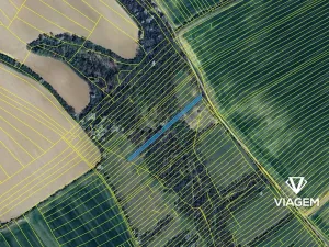 Prodej pole, Traplice, 1392 m2