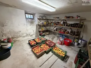 Prodej rodinného domu, Měcholupy, 273 m2