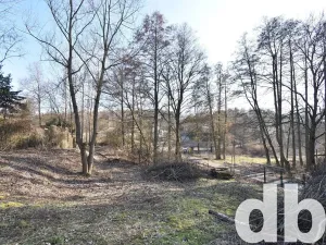 Prodej pozemku pro bydlení, Sadov, 878 m2