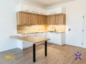 Pronájem bytu 4+kk, Hostovlice, 98 m2