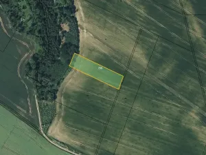 Prodej pole, Mělnické Vtelno, 5954 m2