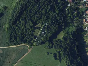 Prodej louky, Vavřinec, 16163 m2