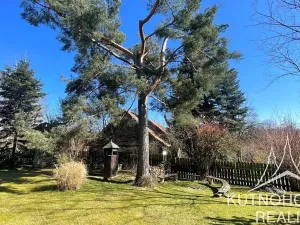 Pronájem chalupy, Čestín, 350 m2