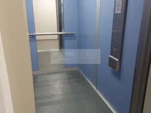 Pronájem bytu 3+1, Praha, Nešporova, 56 m2