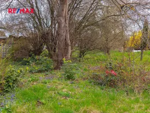 Prodej pozemku pro bydlení, Brno, 2410 m2