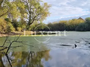 Prodej zemědělské usedlosti, Běrunice, 600 m2