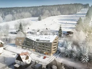 Prodej bytu 3+kk, Železná Ruda, 89 m2