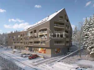 Prodej bytu 2+kk, Železná Ruda, 62 m2